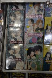 Anime Friends 2012-1010