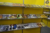 Anime Friends 2012-13