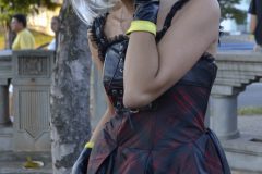 dia_do_cosplayer_2013-30