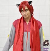 Festival Nippon-Sama 2013