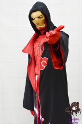 Festival Nippon-Sama 2013