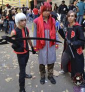 Festival Nippon-Sama 2013