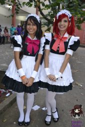 Festival Nippon-Sama 2013