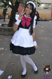 Festival Nippon-Sama 2013