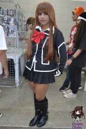 Festival Nippon-Sama 2013